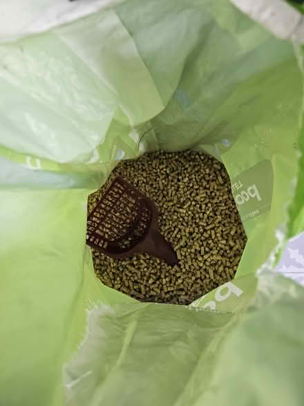 Photo of free Cat litter (wood pellet) (Headington OX3) #2