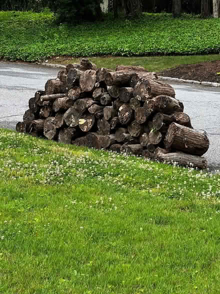 Photo of free logs (Smithtown) #3