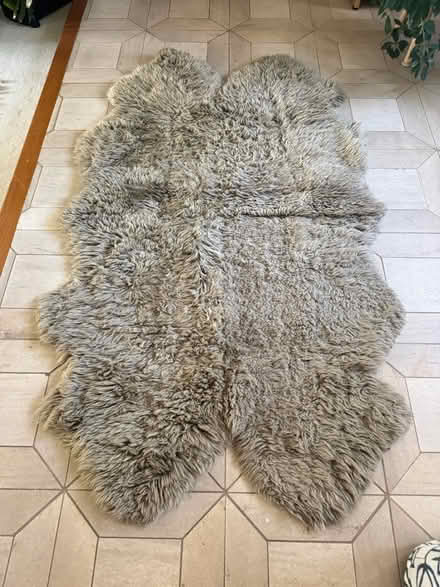 Photo of free Sheepskin Rug (Saratoga) #1