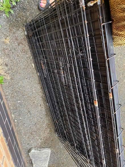 Photo of free Dog crate metal (Croxteth L12) #3