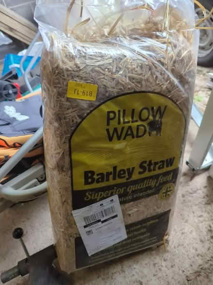 Photo of free Hey (Frenchay BS16) #1