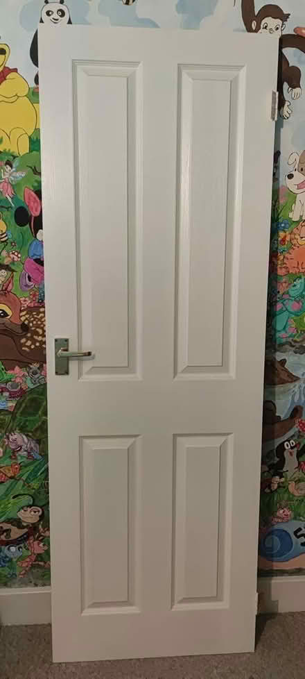 Photo of free Internal door (London Colney) #2