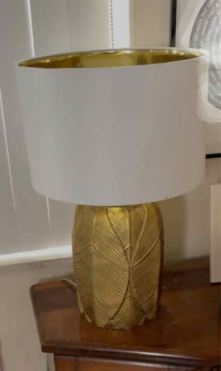 Photo of free Lamp (Hallandale Beach Blvd and US1) #2