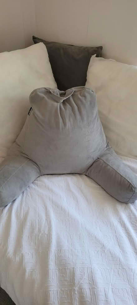 Photo of free Bed/nursing cushion (Marsh LA1) #1