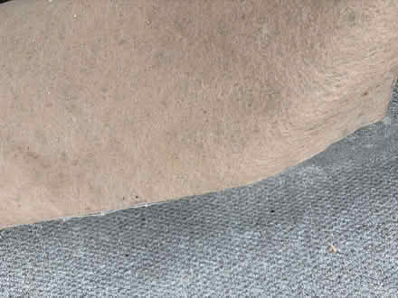 Photo of free Carpet offcut (Mortlake SW14) #2