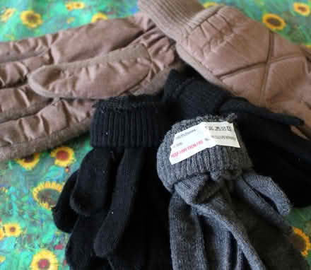Photo of free 4 Pairs of Gloves (Parkstone BH12) #1