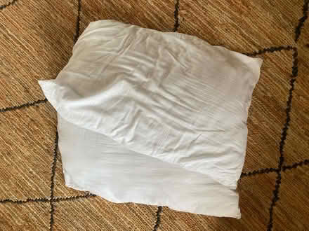 Photo of free x2 pillows (clean) (Herne Hill, SE24) #1