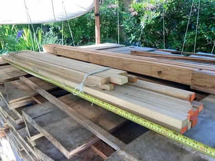 Photo of free Poplar Wood Bundle (Lake Hills area, Bellevue) #1