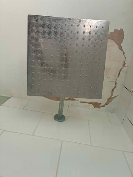 Photo of free Shower (Old town SG1) #2