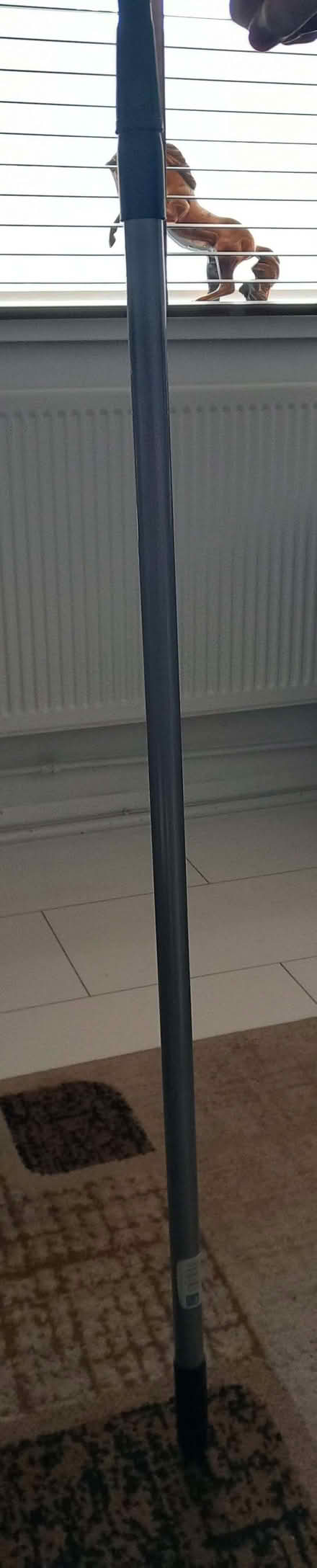 Photo of free paint pads and extension pole (Mile Oak BN41) #1