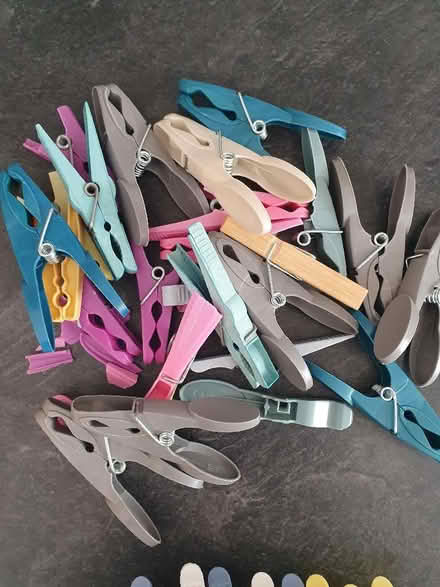 Photo of free Pegs (Kendal LA9) #1