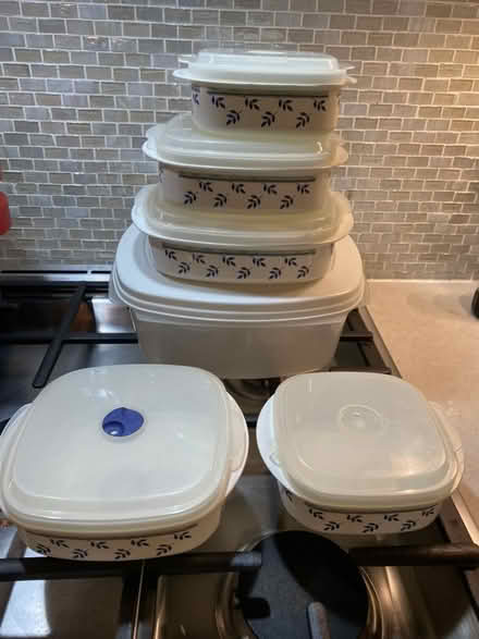 Photo of free Plastic food containers (Nr Fresh Pond & Mt Auburn Cem.) #1
