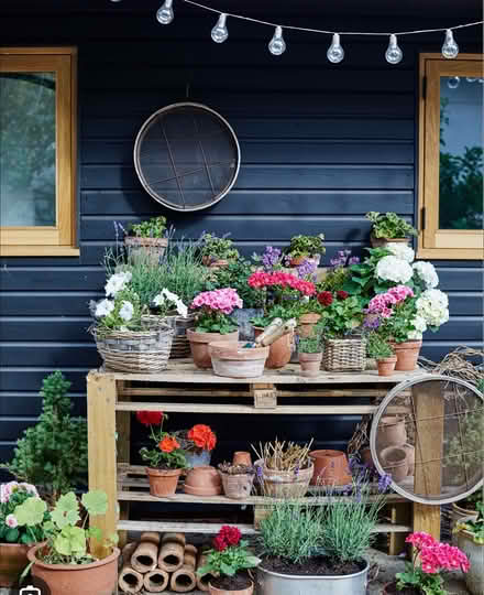 Photo of Plant pots (Morecambe LA4) #1