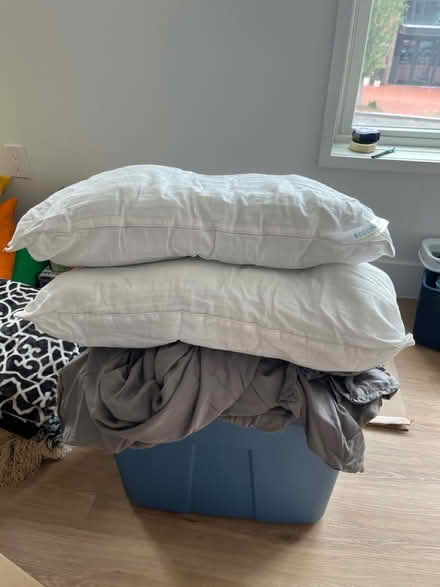 Photo of free Full or Queen Bed Sheets & Pillows (Navy Yard) #1
