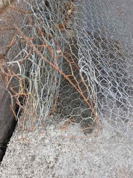 Photo of free Small quantity wire mesh (Kendal LA9) #1