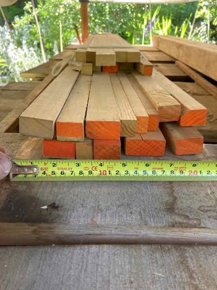 Photo of free Poplar Wood Bundle (Lake Hills area, Bellevue) #2