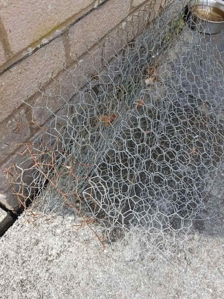 Photo of free Small quantity wire mesh (Kendal LA9) #2