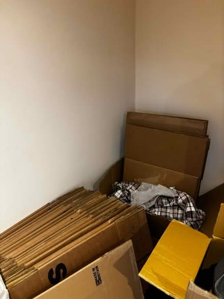 Photo of free Packing Boxes & Bubblewrap (Nw5 1by) #3