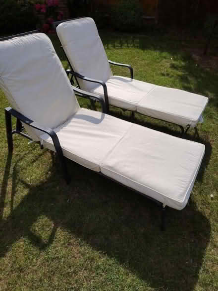 Photo of free Sun loungers (Wainscott) #1