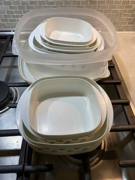 Photo of free Plastic food containers (Nr Fresh Pond & Mt Auburn Cem.) #3