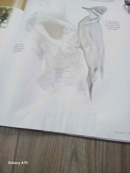 Photo of free Drawing birds book water damaged (Seven dials) #3