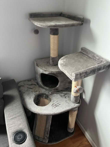 Photo of free Cat Tree (Kingman Park) #1