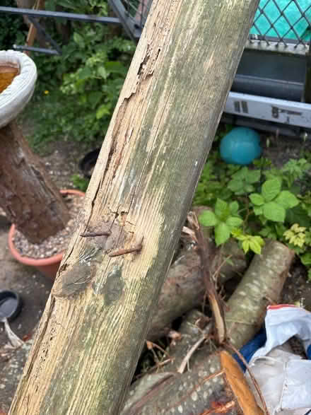 Photo of free Decking plank (Stanley DE7) #2
