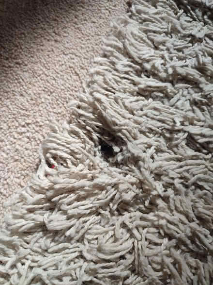 Photo of free Cream fluffy rug (Bricknells Meadow OX28) #2
