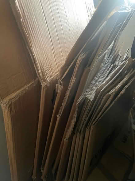Photo of free Moving boxes (Poplars SG2) #1