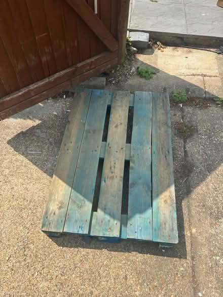 Photo of free Pallet (Old town SG1) #1