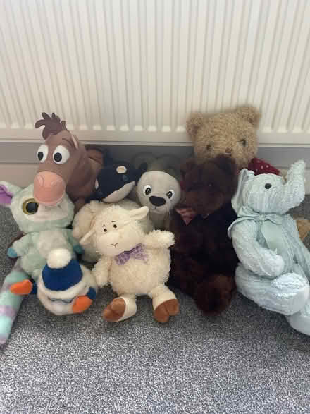 Photo of free Fluffy Toys (Mayford, Woking) #1