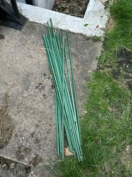 Photo of free Plant support garden stakes (W8, Kensington) #1