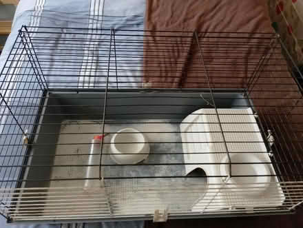 Photo of free guinea pig /rabbit cage (pentwyn,cardiff cf23 7ar) #2