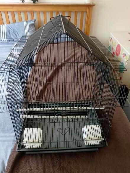 Photo of free bird cage budgies/lovebirds etc (pentwyn,cardiff cf23 7ar) #1