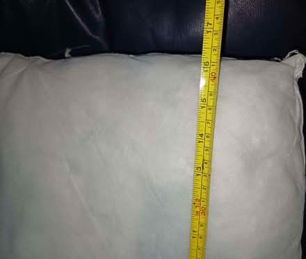 Photo of free Cushion pads / inserts, no covers (Winkwell HP1) #2