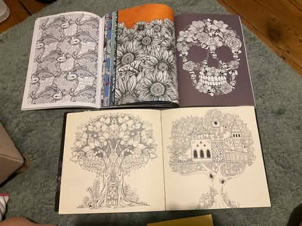 Photo of free Job lot of books and Adult colouring in books (Kilburn NW6) #3