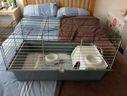 Photo of free guinea pig /rabbit cage (pentwyn,cardiff cf23 7ar) #1
