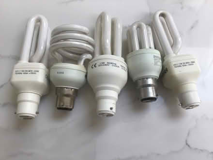 Photo of free Light bulbs (South Ferring BN12) #1