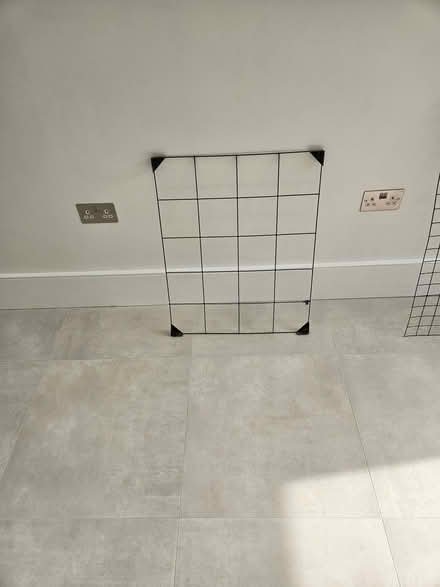 Photo of free Garden Mesh (Wandsworth Common SW11) #2