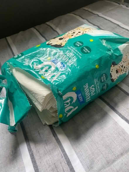 Photo of free Puppy pads (Surrey quays) #1