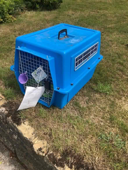 Photo of free International pet transport (Sanderstead CR2) #1