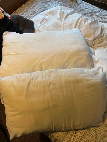 Photo of free Two pillows (Tw1 3JZ) #1