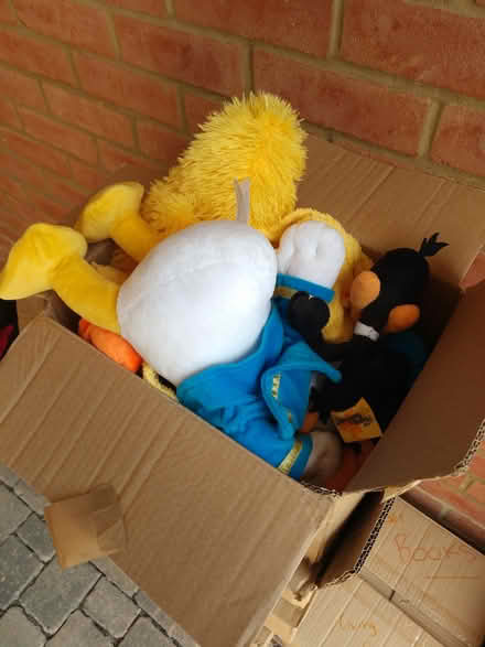 Photo of free Bundle of cuddly toys (Milton OX14 4) #1
