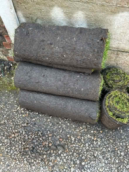 Photo of free 5 square metres of turf (Chorley PR7) #2