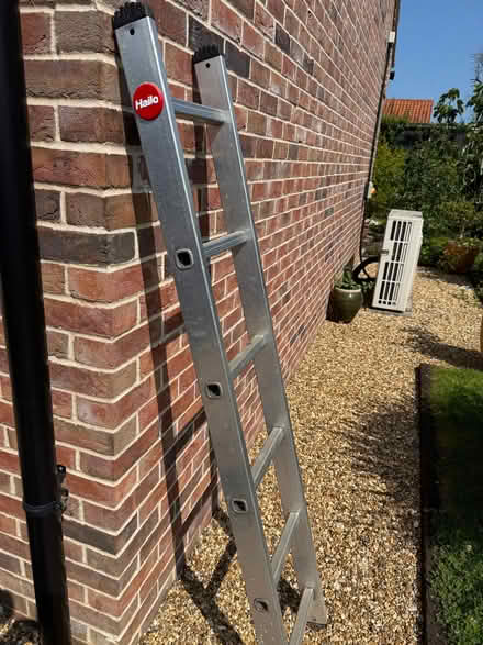 Photo of free Hailo Ladder (Langham NR25) #1