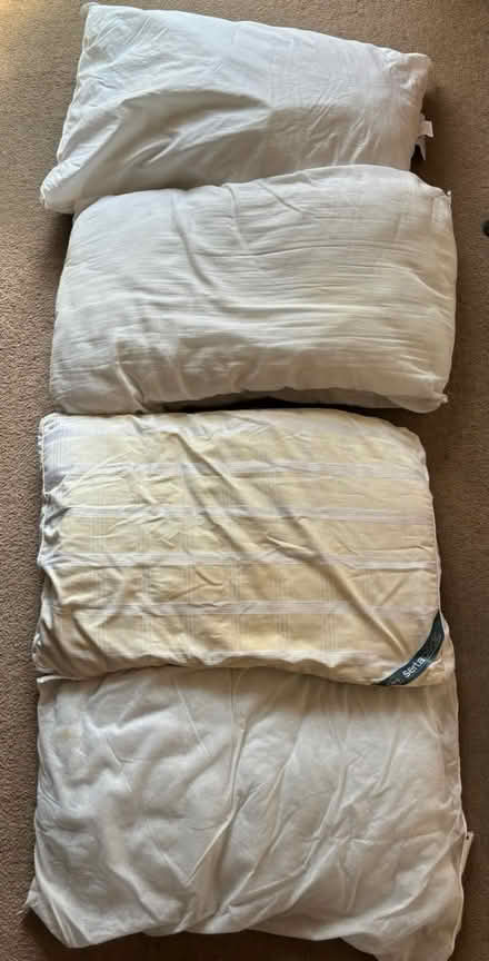 Photo of free Pillows (Portslade BN41) #1