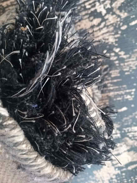 Photo of free Rug (Deepdale PR1) #1