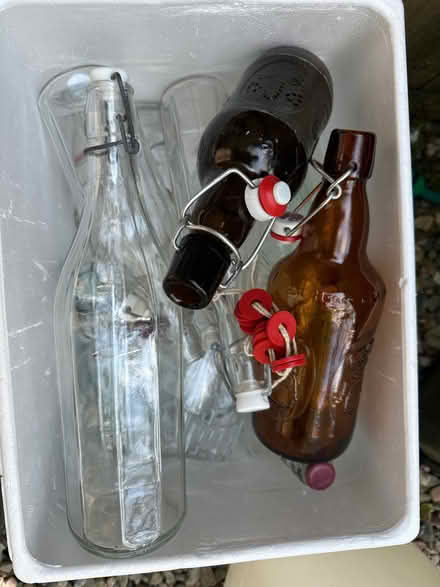Photo of free Bottles for cordial etc (Nash LD8) #1