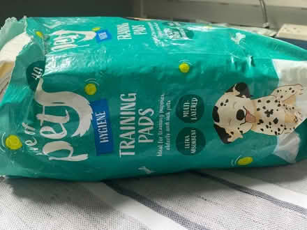 Photo of free Puppy pads (Surrey quays) #2
