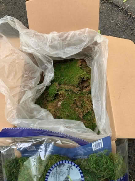 Photo of free Box and Bag of Preserved Moss (Cottageville, South Brunswick) #1
